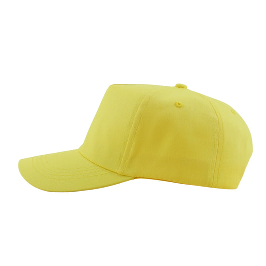 Classic Artist Baseball Cap