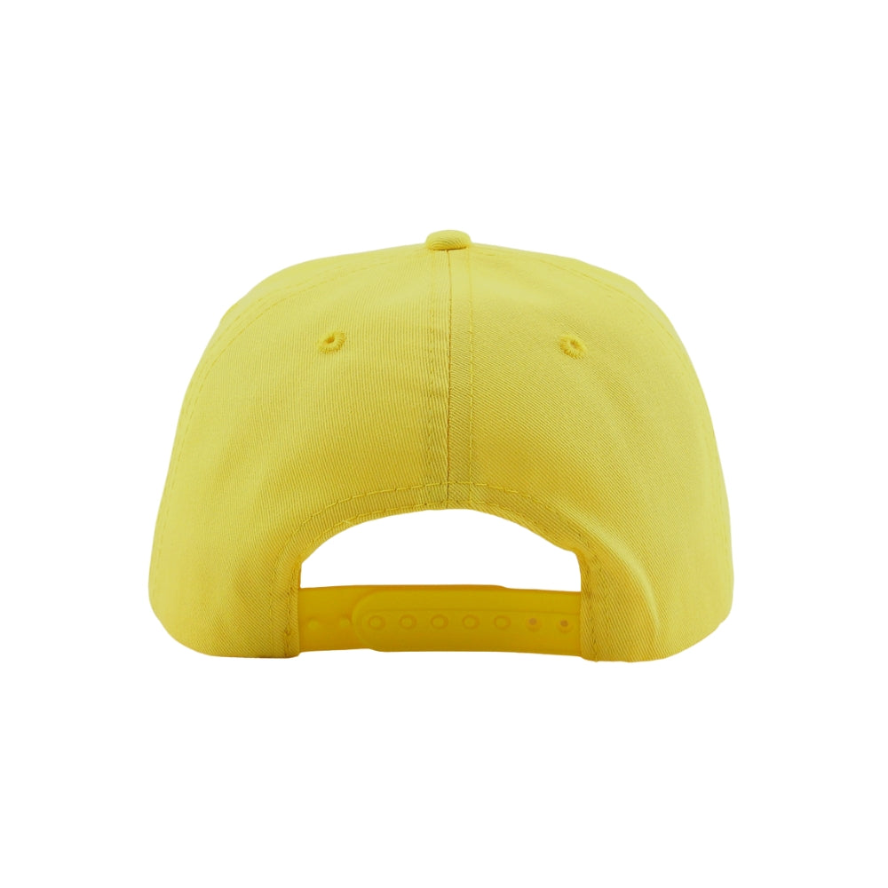 Classic Artist Baseball Cap